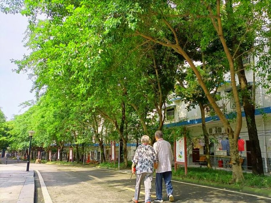成都慢病重症舒缓照护 成都纯德养老中心营养支持服务指南