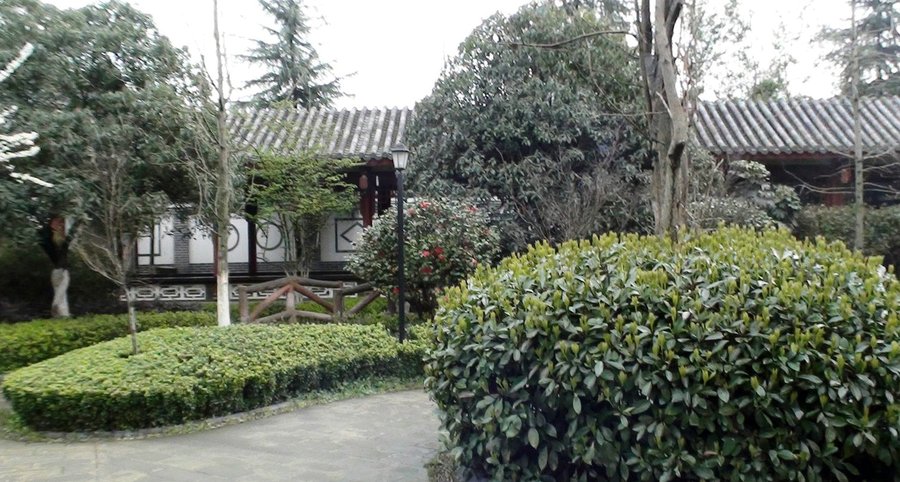 成都郫都区金沙老年康乐苑:定期文娱活动与志愿者慰问服务情况参考指南