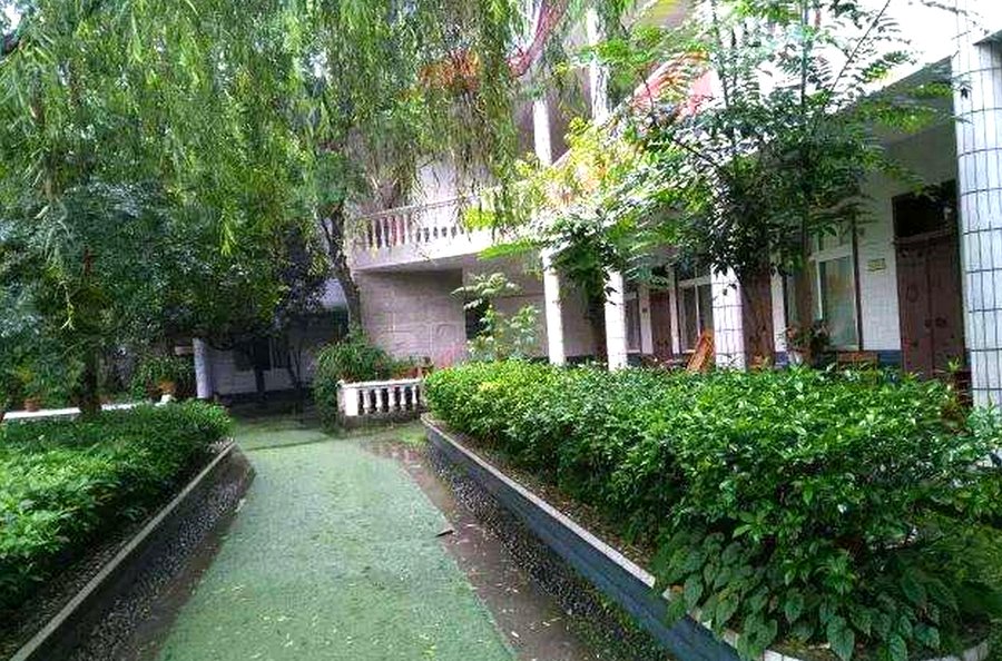 成都郫都区金沙老年康乐苑:定期文娱活动与志愿者慰问服务情况参考指南