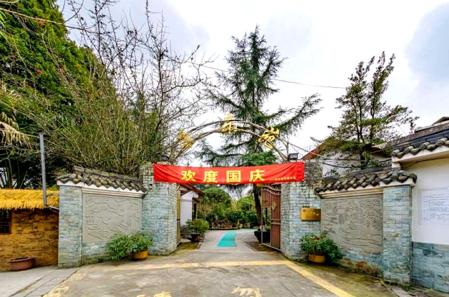 成都郫都区金沙老年康乐苑:周边配套与生活便利性观察