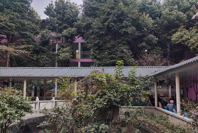 成都郫都区新颐园养老公寓社工服务与志愿活动公开信息梳理