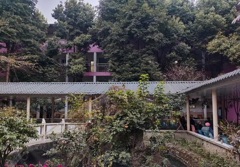 成都郫都区颐园养老院入住条件与申请流程全解析