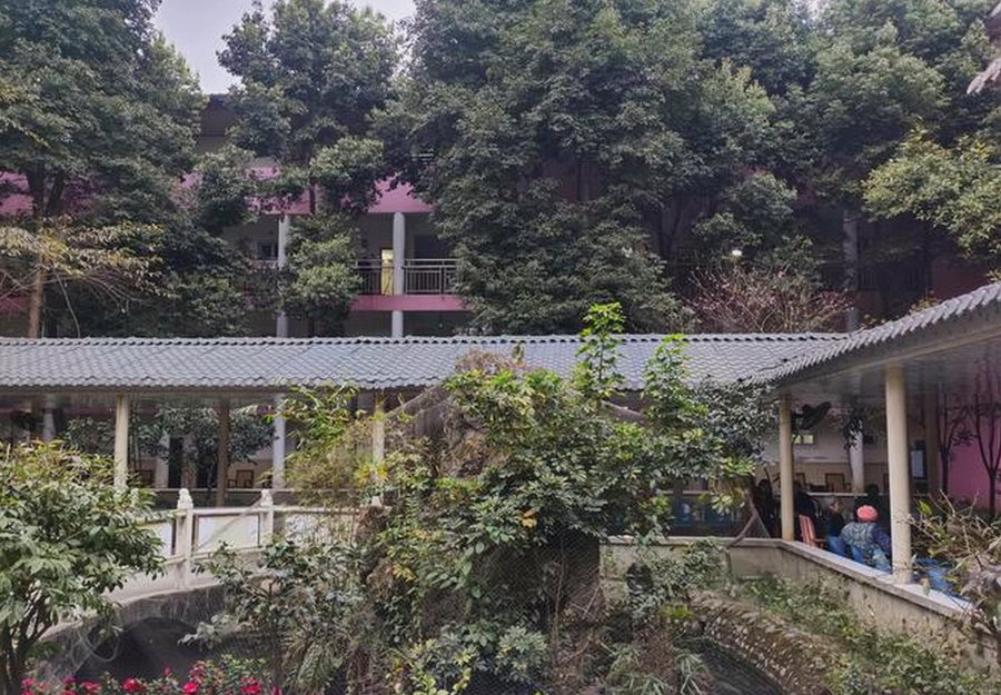 成都郫都区颐园养老院收费构成解读:认知专护场景下单双人间账怎么算