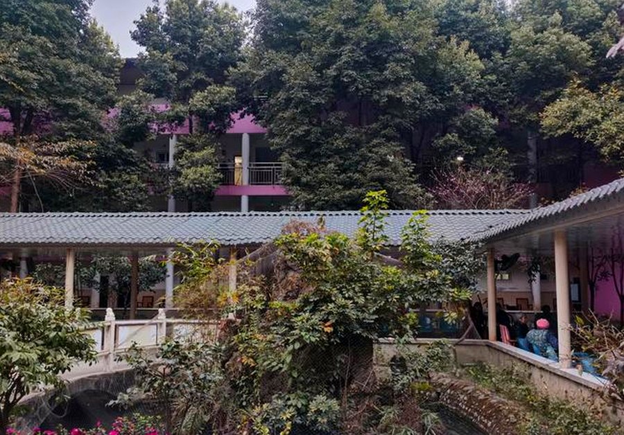 成都郫都区颐园养老院:完全不能自理老人的护工配比与照护能力解析