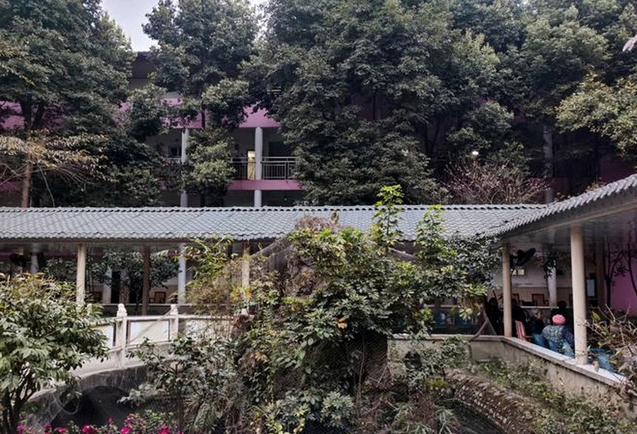 成都郫都区颐园养老院照护适配参考:按照护等级看自理、半失能与认知症长辈的选型路径