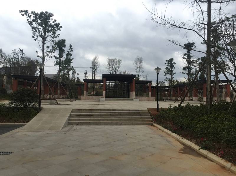 成都侨颐园颐养居:认知症伴激越行为长者接收标准与照护能力说明
