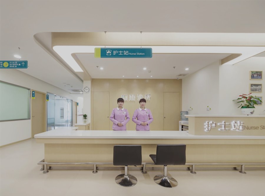成都亲睦家·鹭湖长者社区:医养结合型养老机构参考指南(含脑中风康复专项)