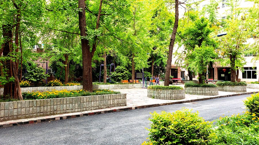 成都青白江城厢镇这家敬老院,公开清单里能查到老年大学和养生课堂