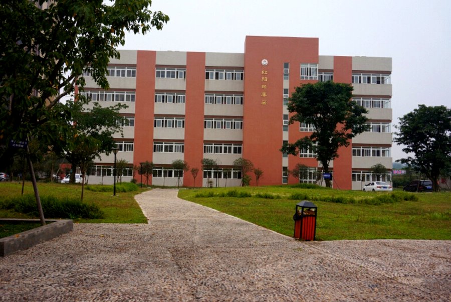 成都青白江红阳颐养居 电脑教室、手工艺室与学习活动空间服务参考指南