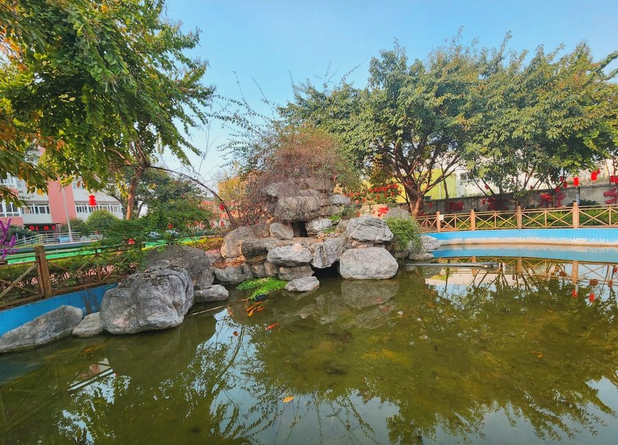成都青白江区大同养护院:医养结合型养老服务中心的实地探访与选择参考