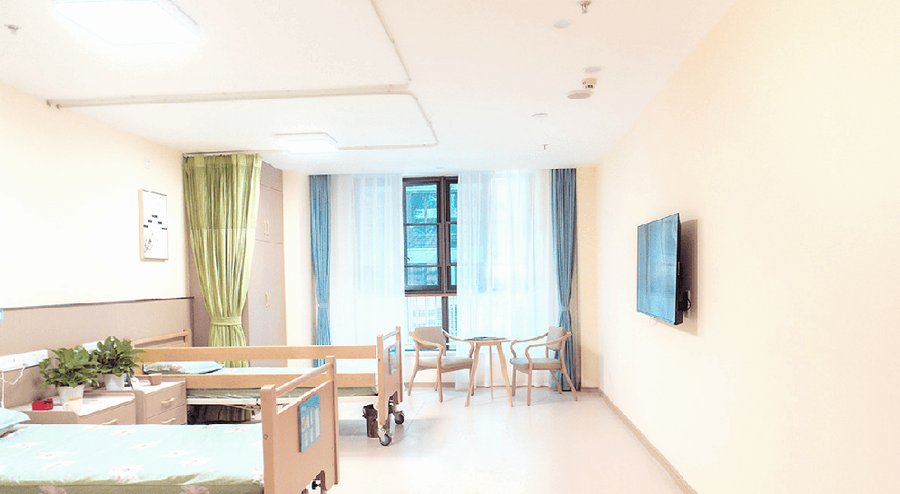 成都青白江区大弯街道养老服务综合体（福孝家康养中心）：康复活动区、益智活动区与室外花园的功能分区参考