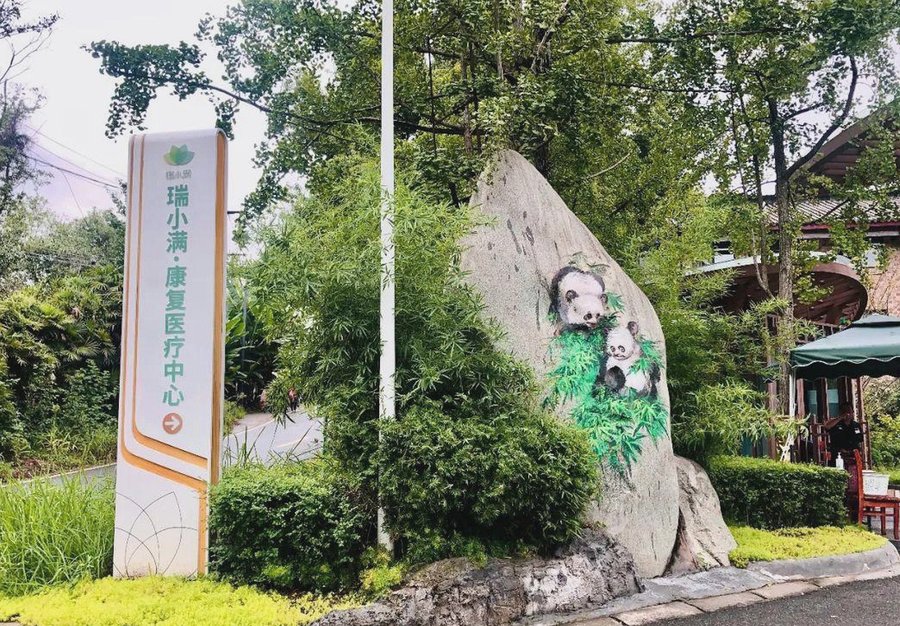 成都青白江区敬老院哪家好:从红阳颐养居到瑞小满杏花颐园的分级适配参考