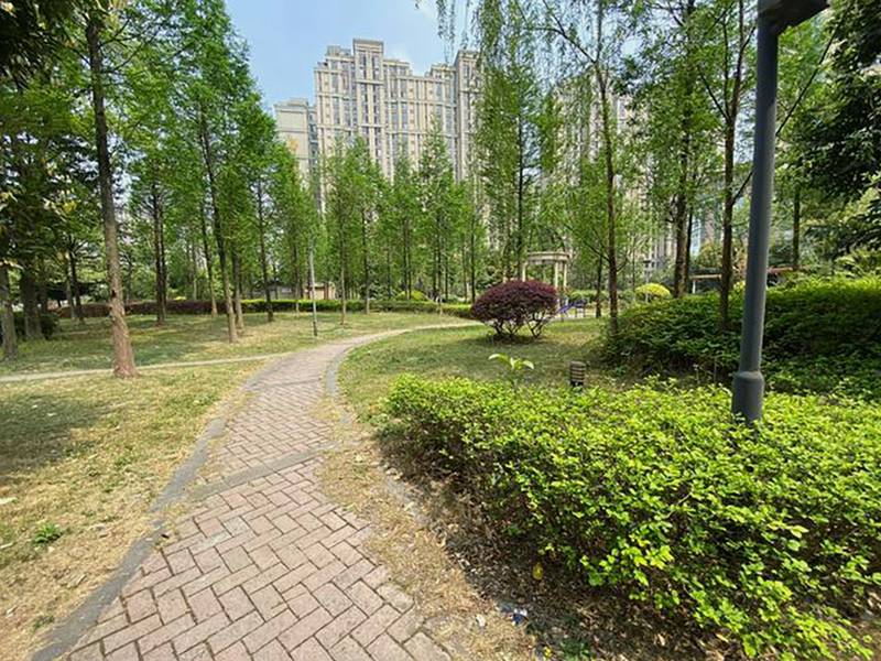 成都青羊区全失能照护费用参考：椿萱茂·珉湾长者社区服务与收费观察