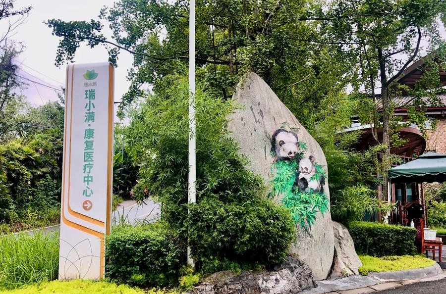 成都瑞小满·杏花颐园交通便利性考察:公交与自驾条件一览