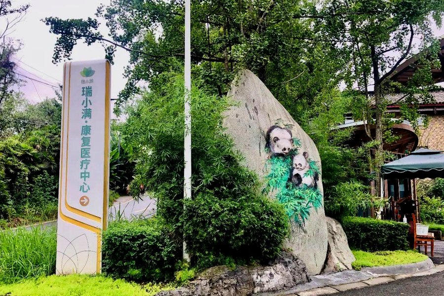 成都瑞小满杏花颐园康复服务参考:康复养护中心与运动治疗、作业治疗配置观察