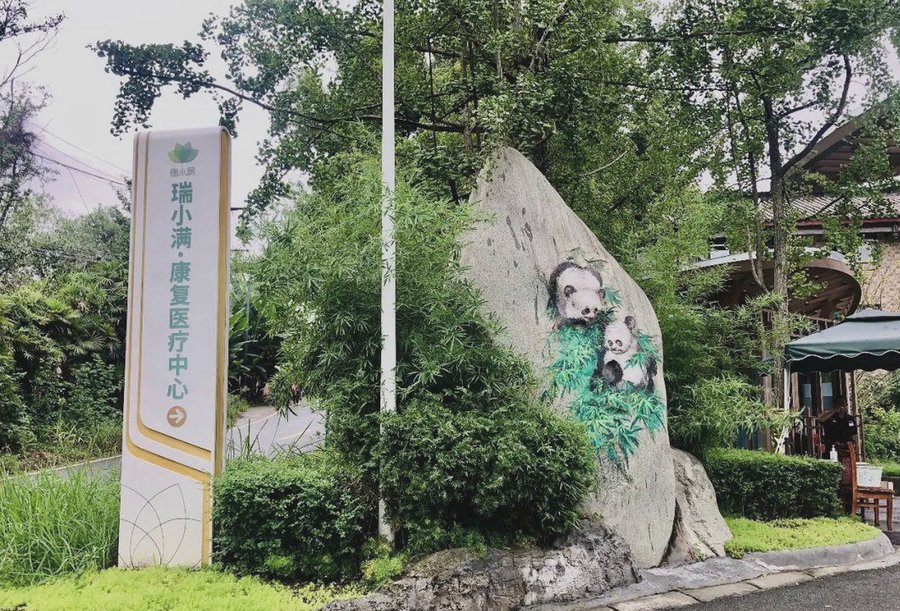 成都瑞小满杏花颐园：设有康复治疗中心，能进行物理治疗和作业治疗的养老院