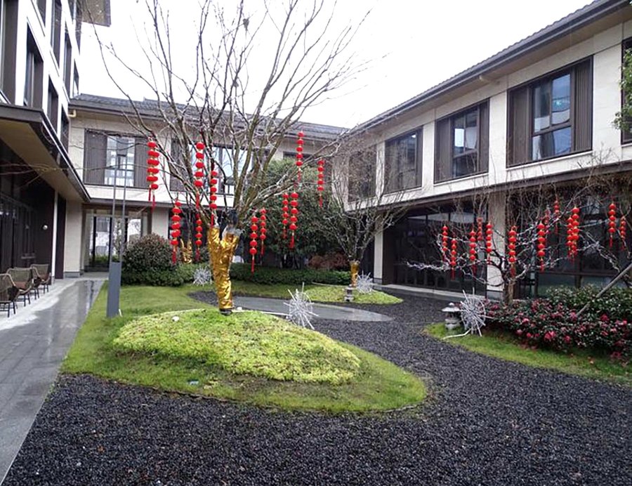 成都申请认知症老人入住养老机构的步骤说明:成都碧然康养九龙湖护理中心指南