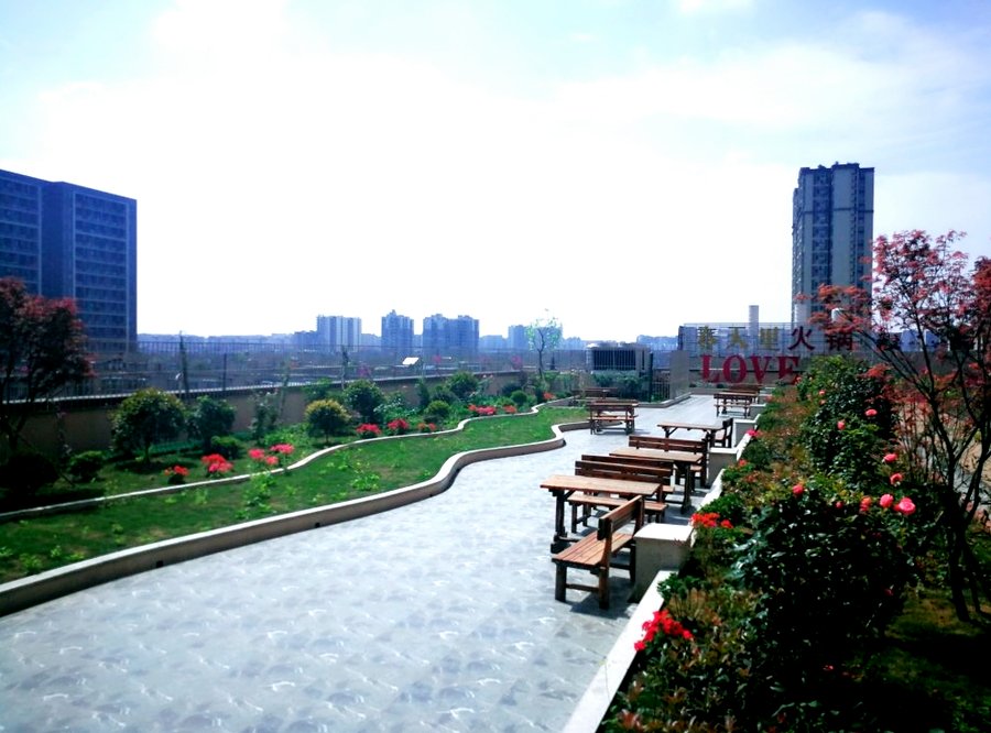 成都圣约瑟康复中心（建设路店）文娱配套观察：如何判断手工、棋牌、健康讲座是否常态化