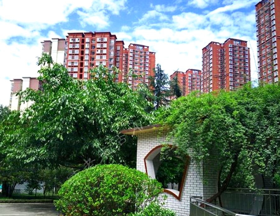 成都市第一社会福利院适老化膳食与吞咽障碍照护服务说明