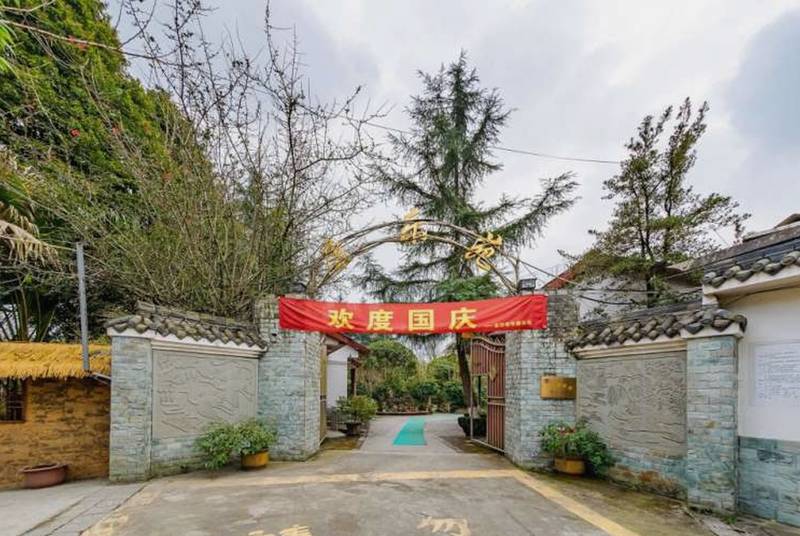 成都市老年康疗院语言康复服务选型参考:从资质到服务配置的核查路径