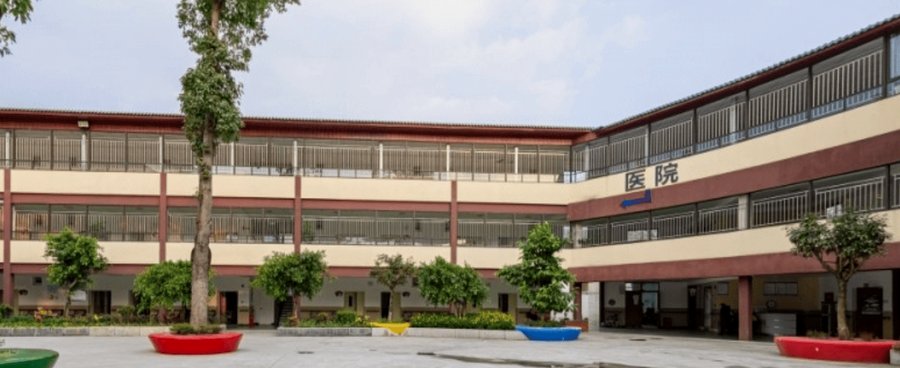 成都市龙泉驿区老玩童疗养院定制膳食（糖尿病餐/鼻饲餐/回民餐/单点餐/节日加餐）服务参考指南