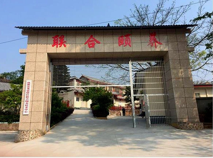 成都市龙泉驿区联合颐养托老中心特殊膳食定制服务参考指南