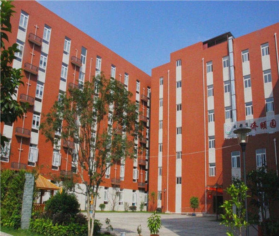 成都市龙泉驿区侨颐园颐养居 成都认知症长者精神行为症状照护服务选型参考指南