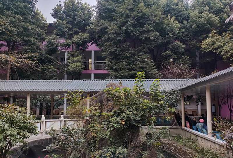 成都市郫都区新颐园养老公寓:华星公园内的八十余亩适老院落