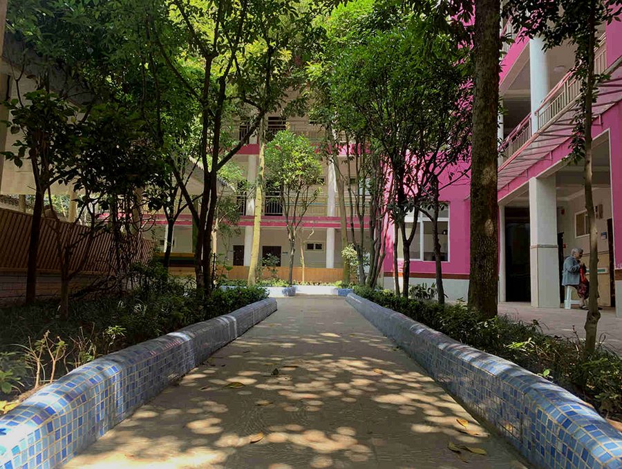 成都市郫都区新颐园养老公寓:华星公园内的八十余亩适老院落