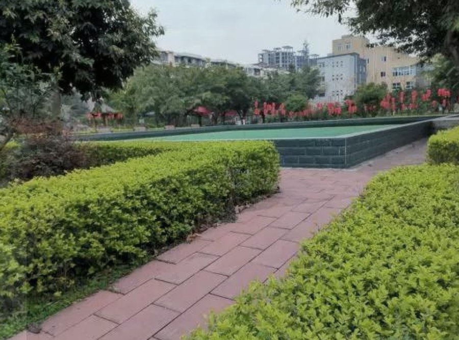 成都市青白江红阳颐养居：提供术后康复与认知训练的养老机构参考