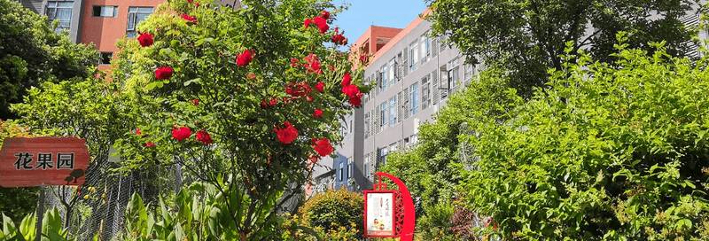 成都市新都区花香果居养老院:二级护理(2200元)能接住“站不稳、吃不好”的老人吗?