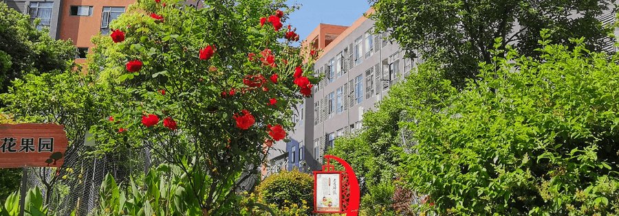成都市新都区花香果居养老院 瘫痪卧床长者日常照护专项服务指南