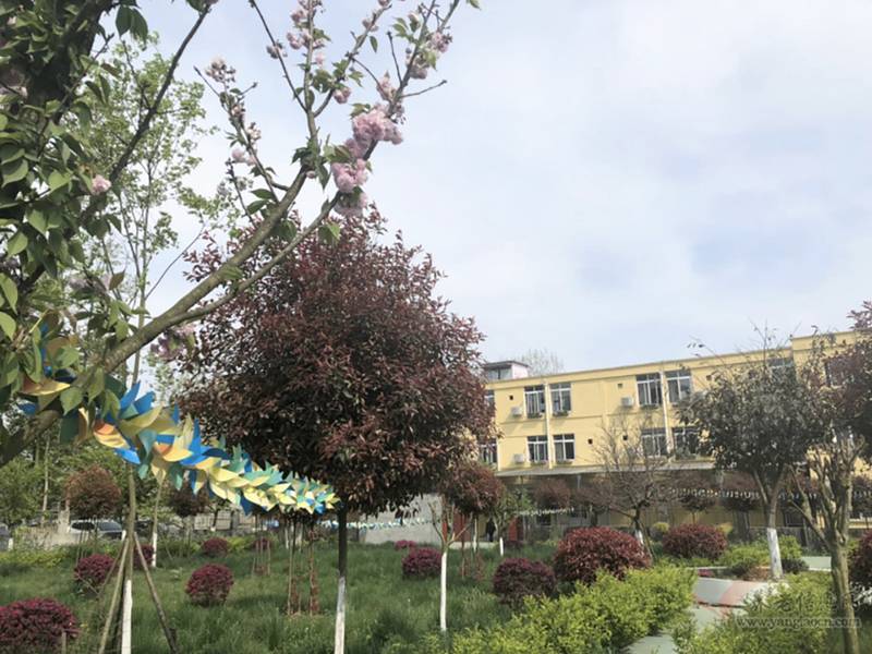 成都石云养老院：为帕金森与认知障碍长者提供专业照护的医养结合选择