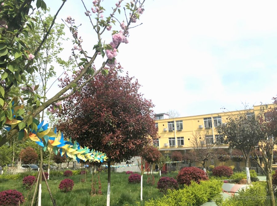 成都石云养老院试住政策与入住前准备指南