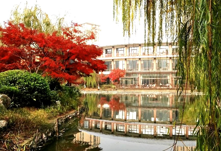 成都双流区公建民营养老院运营优势与民办机构对比参考指南 成都市金秋颐养中心