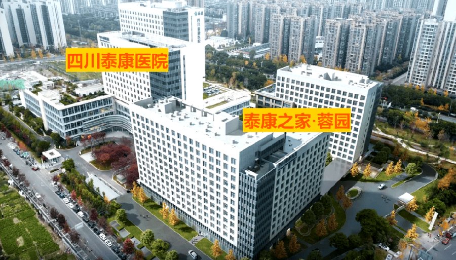 成都泰康之家·蓉园膳食服务观察:特殊膳食与慢病管理的实践路径