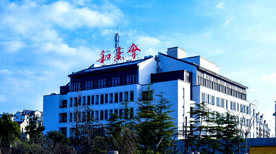 成都特护级失能长者机构盘点:保利成都和熹会医养结合服务指南