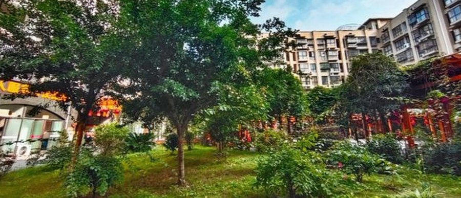 成都天佑养老康养中心植物人状态长者照护机构适配指引