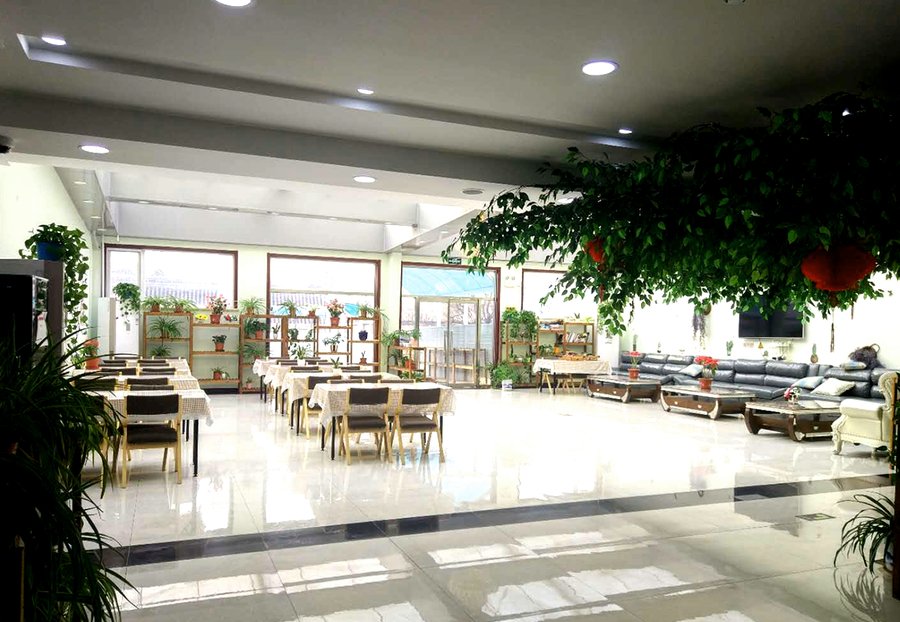 成都晚霞社会养老服务中心:青羊区长者膳食服务与三餐内容选择参考指南