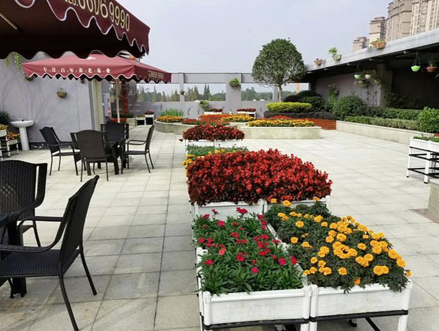 成都温江区第一社会福利院资质与床位信息公开指引