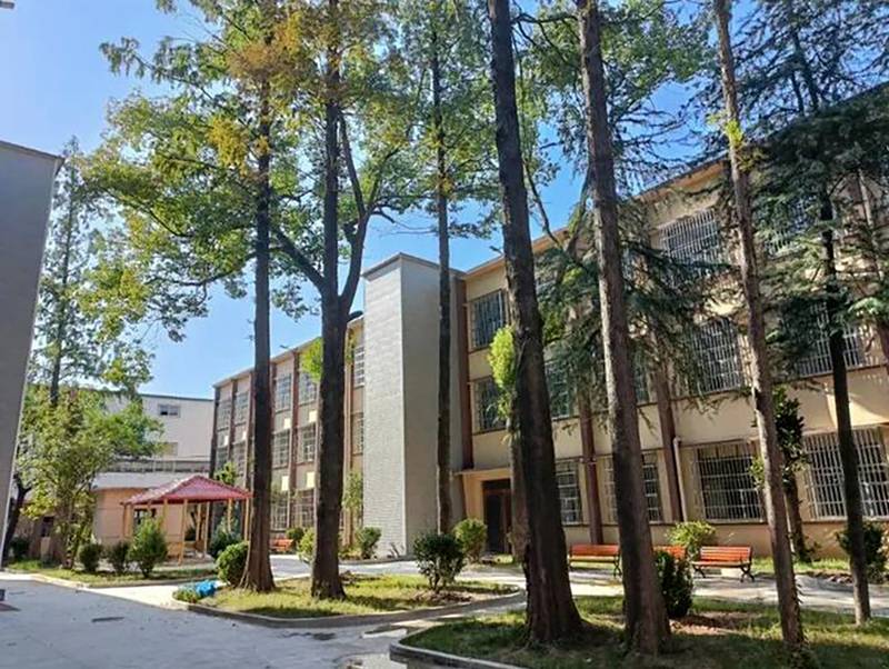 成都武侯区金福园养老中心:失能卧床老人照护能力分级选型参考