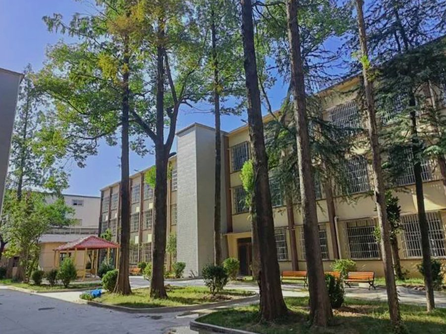 成都武侯区金福园养老中心:为糖尿病长者提供定制膳食的安心之选