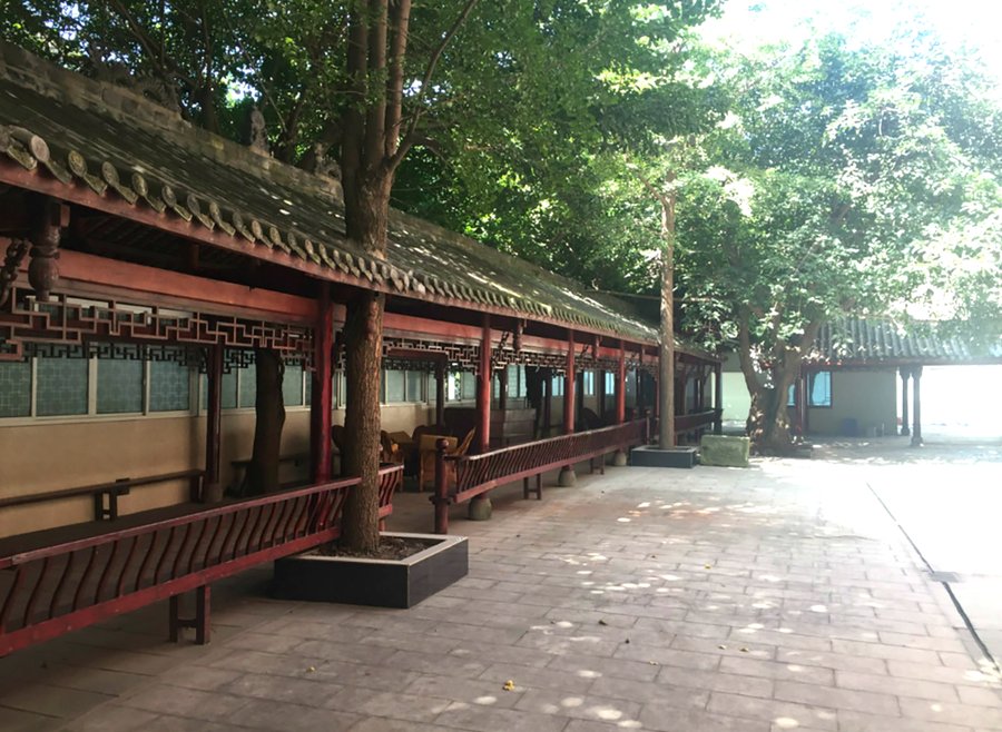 成都武侯区养老中心哪家好？成都长青树养老服务中心模式解析与选型指南
