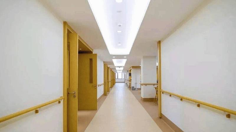 成都武侯区银发梦工场：社工服务与志愿活动配置对照（家属可核验版）