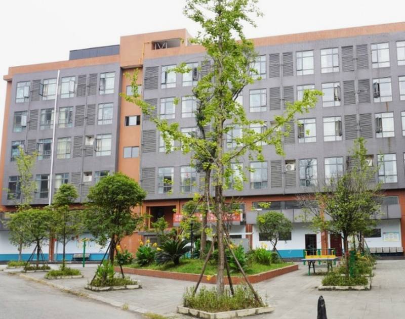 成都新都恒轩养老服务中心鼻饲与胃管照护服务说明:收住范围、管路维护与营养支持