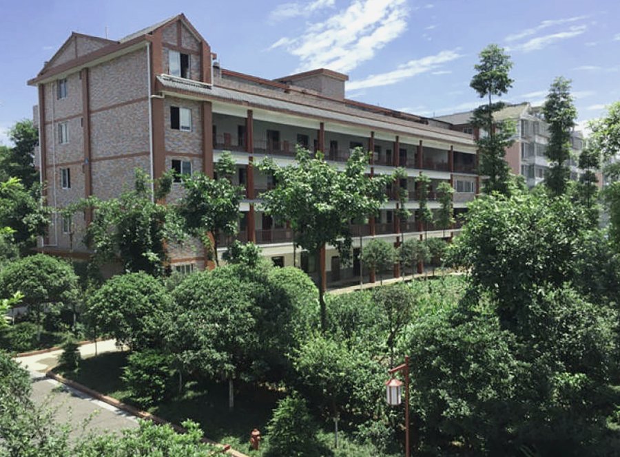 成都新都区桂城养老院:一份按照护需求匹配的分级选型指南