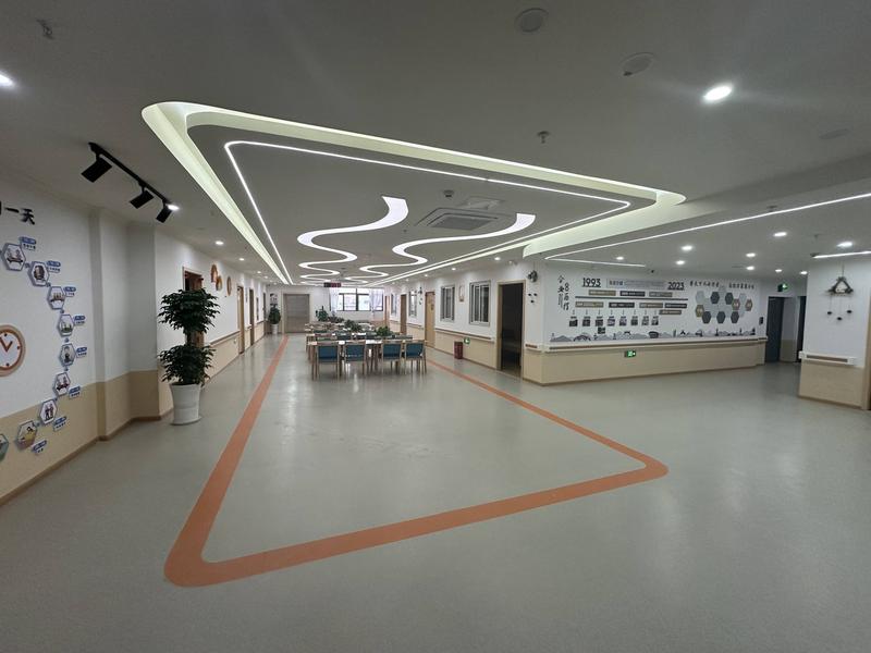 成都新都养老服务中心怎么选:桂湖街道团结社区综合为老服务中心分型观察