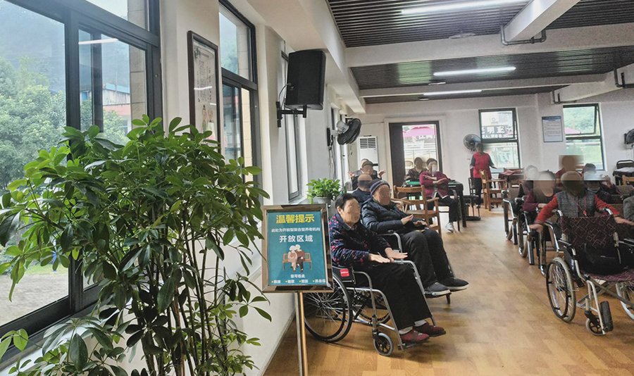 成都新津岷江颐养居居室紧急呼叫系统配置与安全服务说明