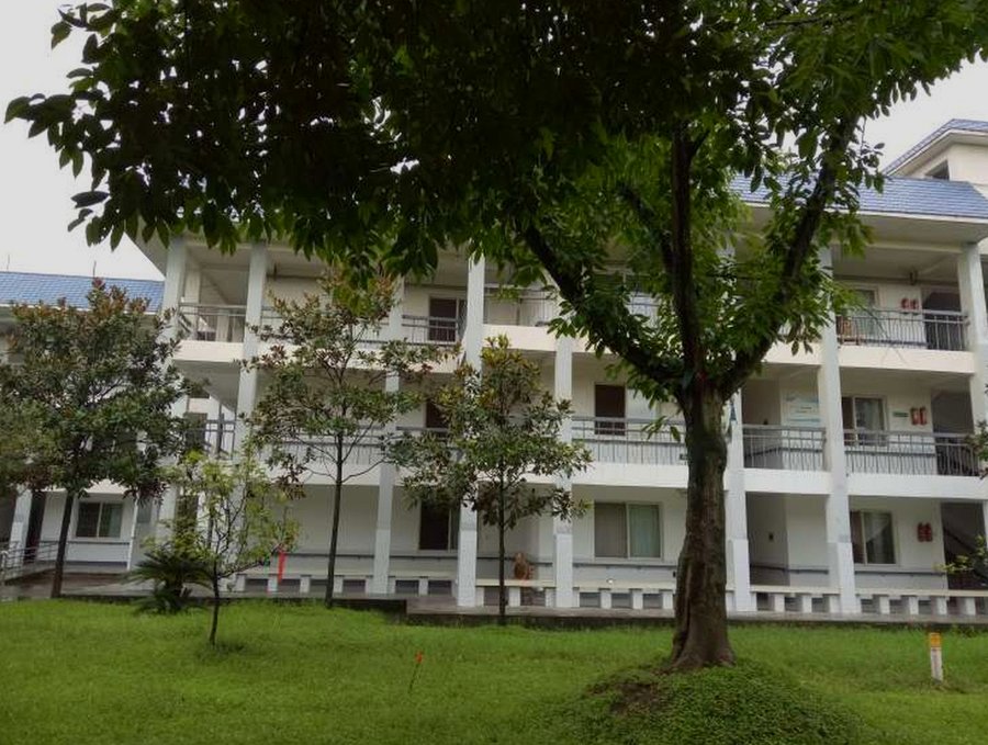 成都新津区邓双中心敬老院养老床位总量与收住容量情况说明