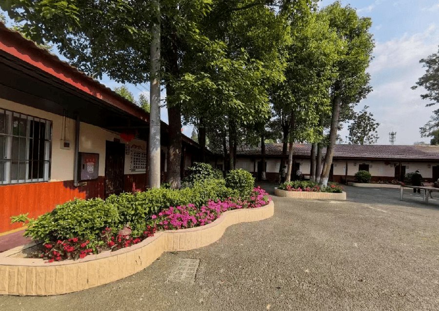 成都星瑞寿而康养老院 温江区脑梗后遗症与中风偏瘫长者养老照护服务参考指引